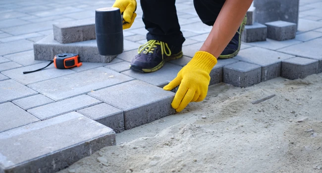 shutterstock_1502426984